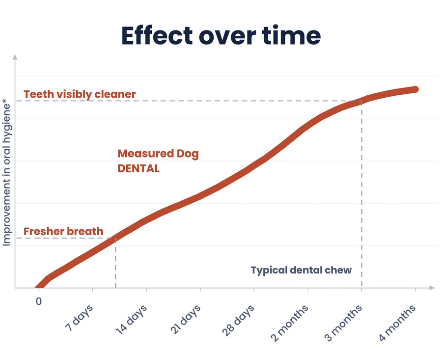 Effect over time: fresher breath inside ten days, visibly cleaner teeth by month three