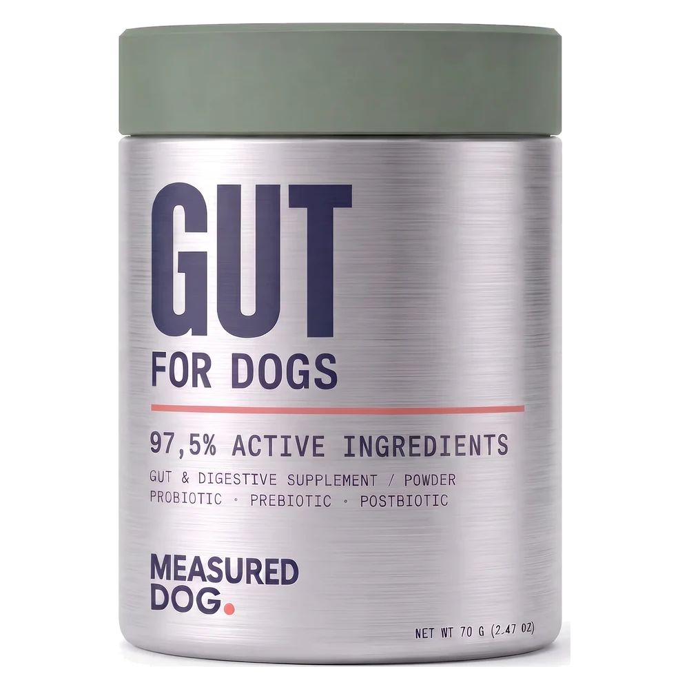 GUT by Measured Dog
